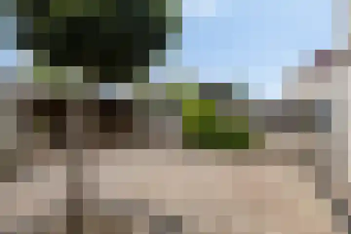 De Bogaert 17 Doesburg thumbnail 37