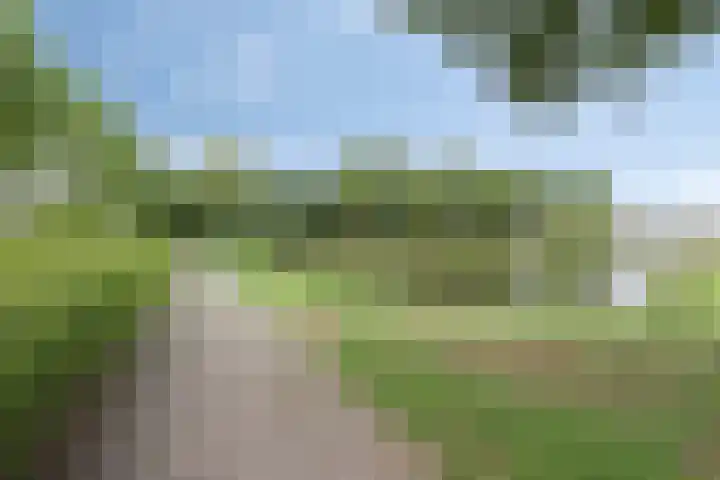 De Bogaert 17 Doesburg thumbnail 39