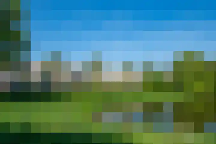 De Bogaert 18 Doesburg thumbnail 11