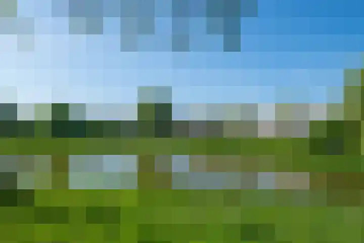 De Bogaert 18 Doesburg thumbnail 13