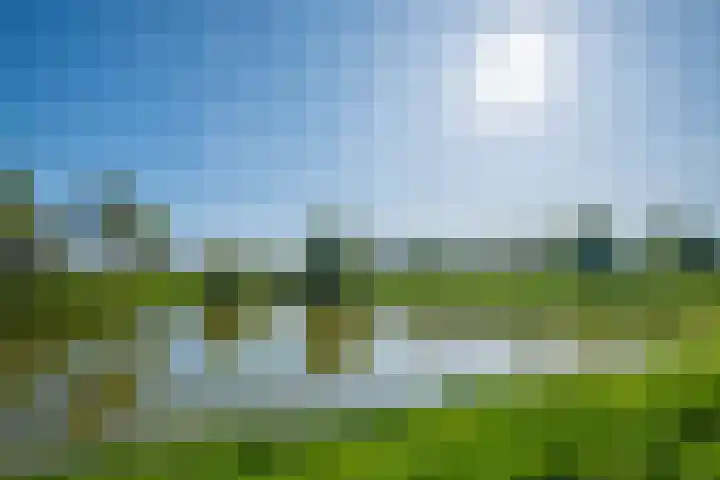 De Bogaert 18 Doesburg thumbnail 14
