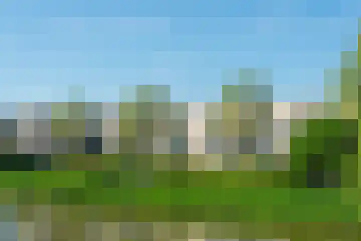 De Bogaert 18 Doesburg thumbnail 16
