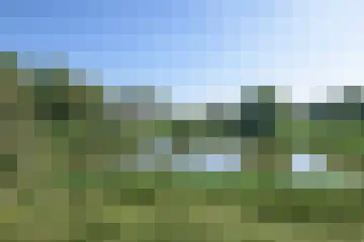 De Bogaert 18 Doesburg thumbnail 18