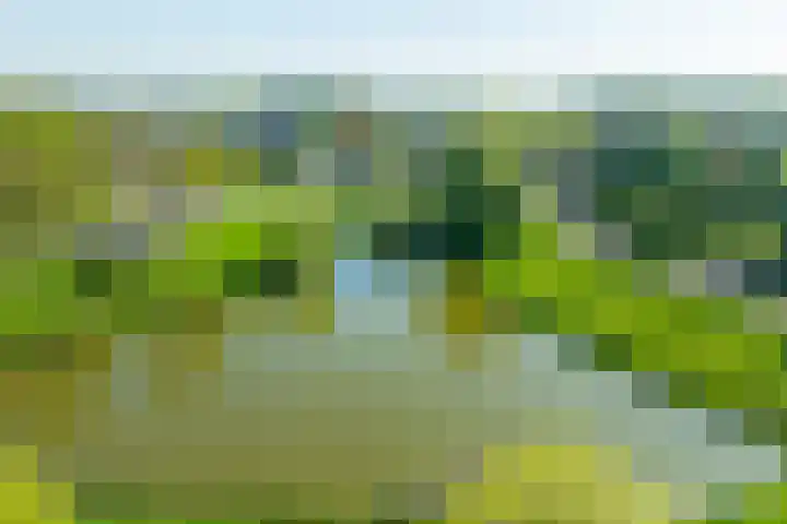 De Bogaert 18 Doesburg thumbnail 19