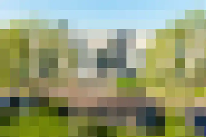 De Bogaert 18 Doesburg thumbnail 25