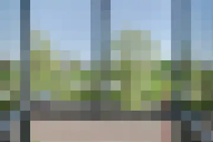 De Bogaert 18 Doesburg thumbnail 31