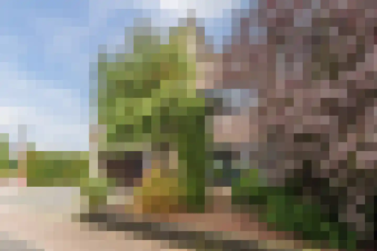 De Bogaert 35 Doesburg thumbnail 8