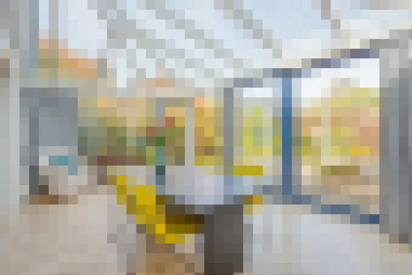 De Bogaert 52 Doesburg thumbnail 19