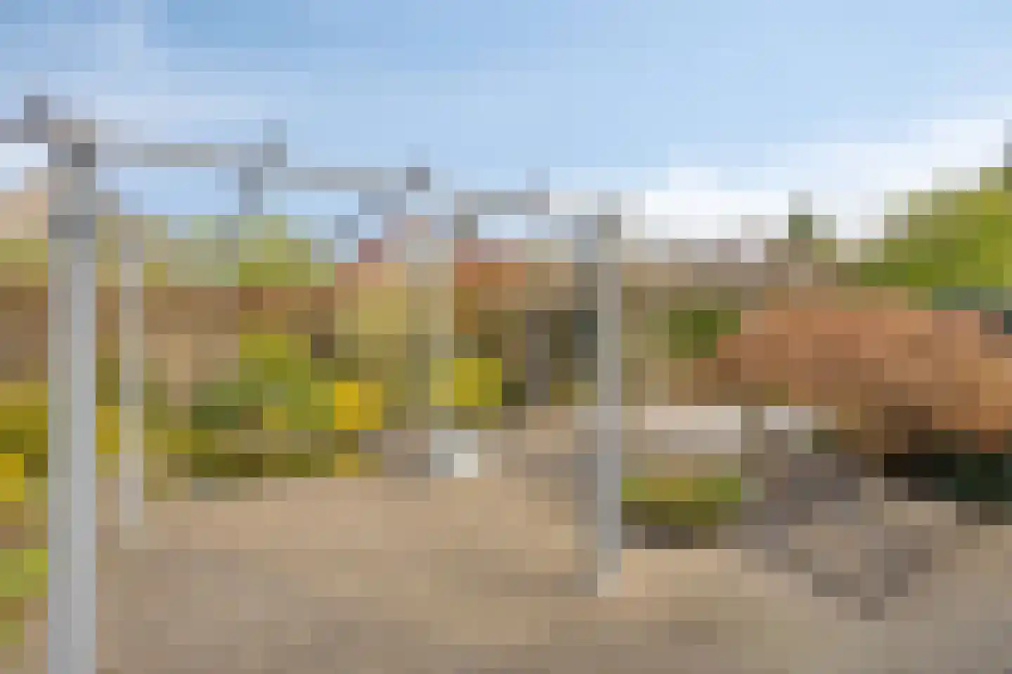 De Bogaert 52 Doesburg thumbnail 41