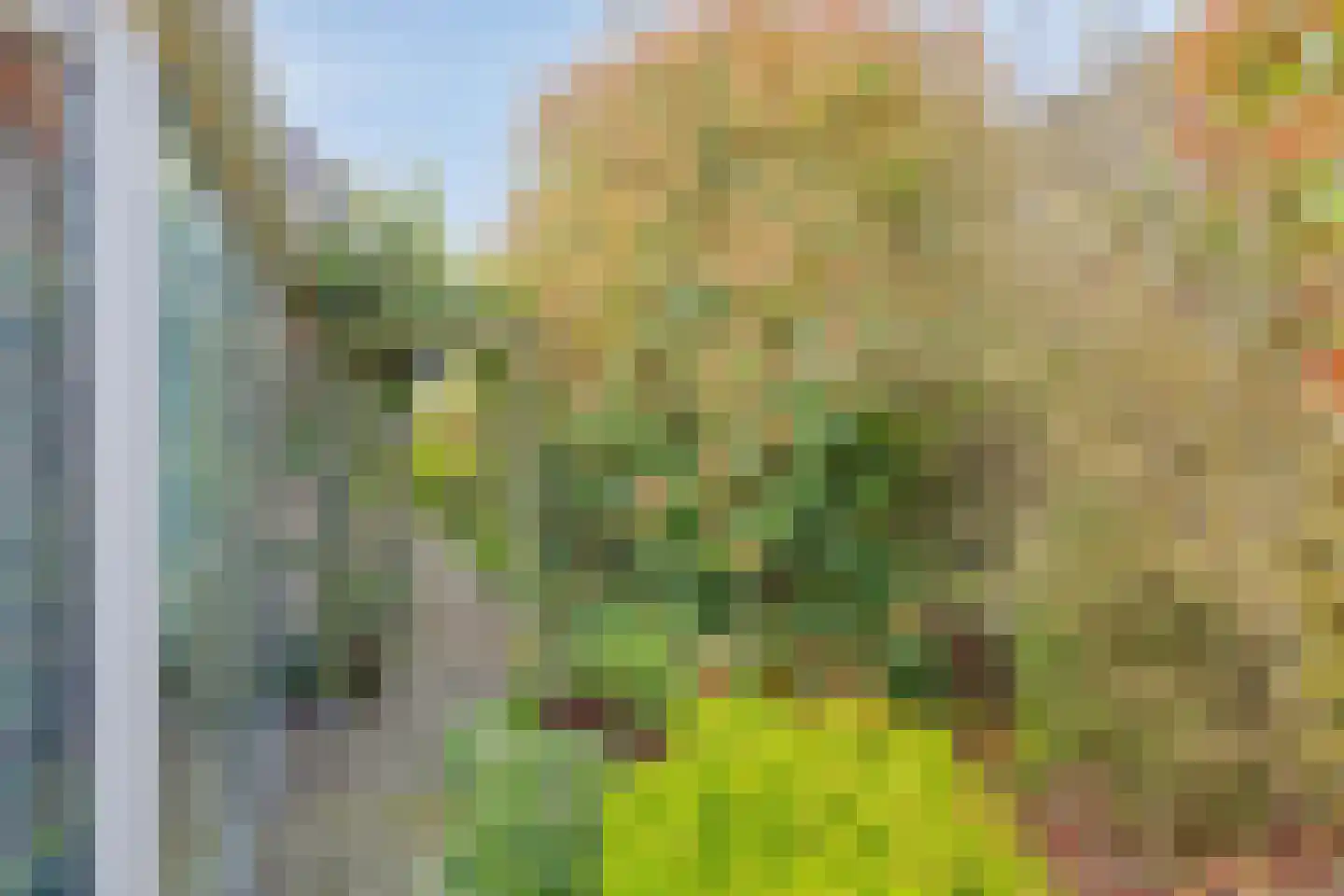 De Bogaert 52 Doesburg thumbnail 44