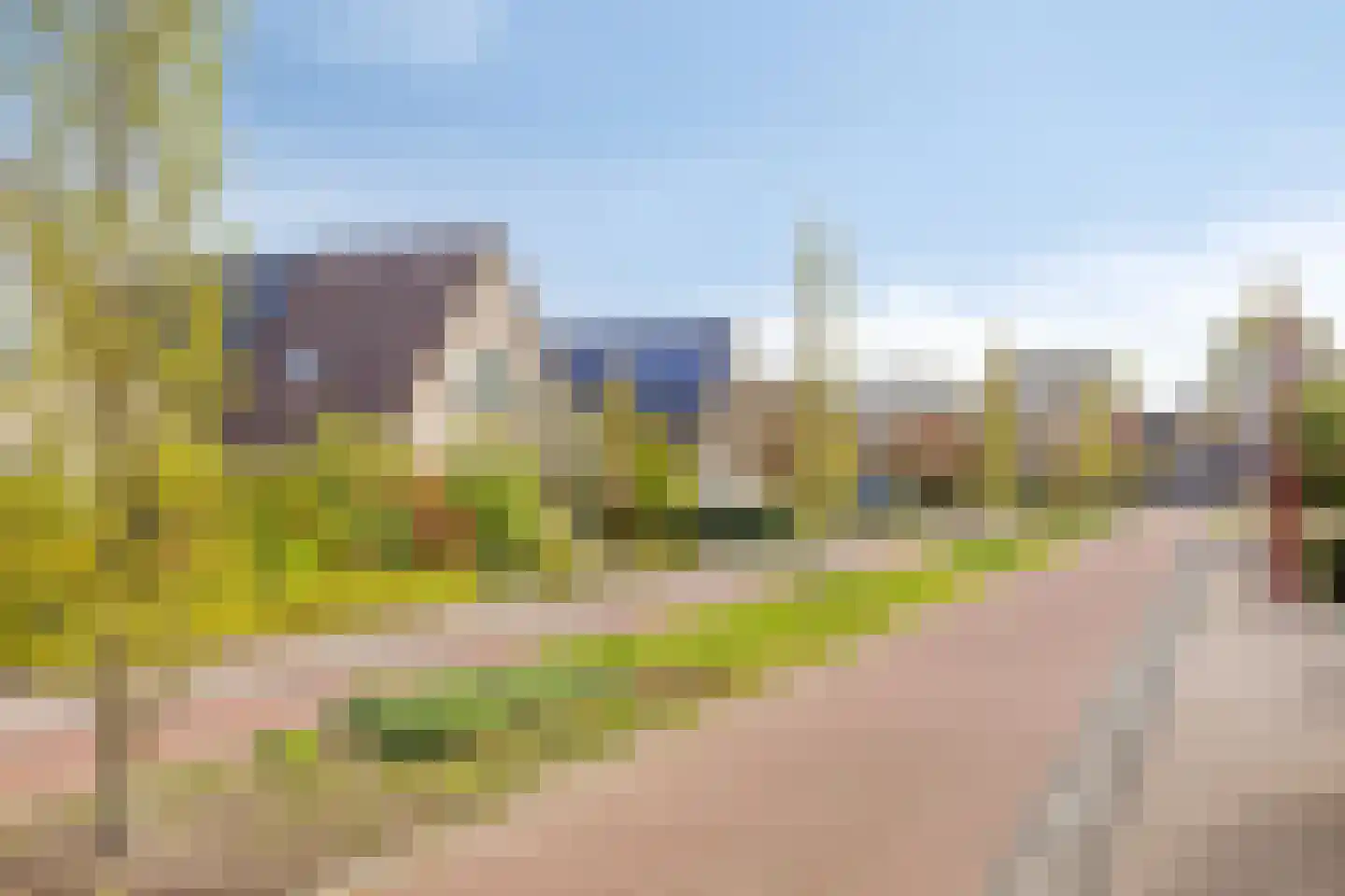De Bogaert 52 Doesburg thumbnail 46