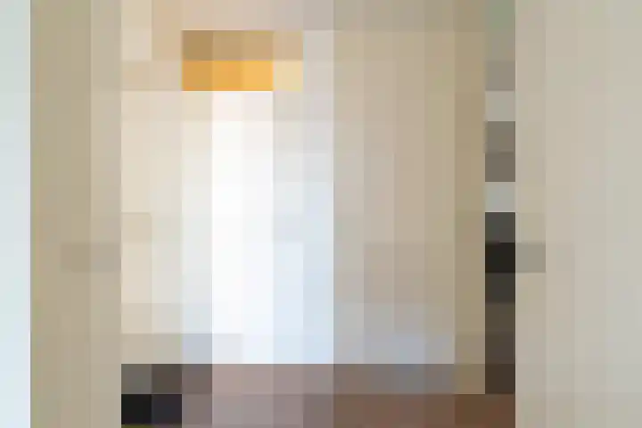 De Bogaert 9 Kaatsheuvel thumbnail 10