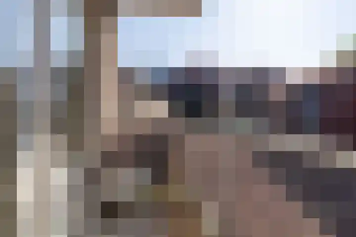 De Bogaert 9 Kaatsheuvel thumbnail 15