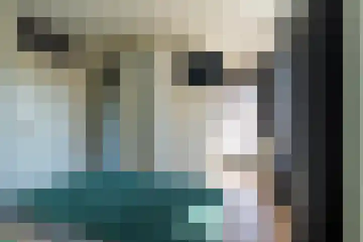 De Bogaert 9 Kaatsheuvel thumbnail 17