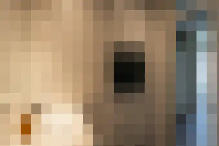 De Bogaert 9 Kaatsheuvel thumbnail 21