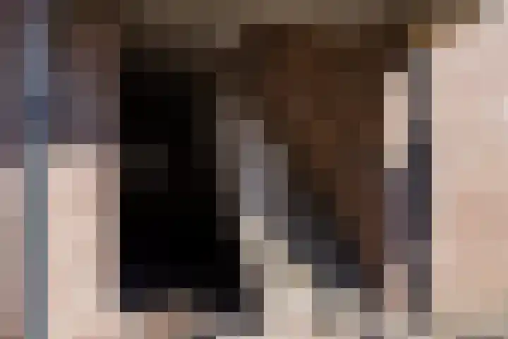 De Bogaert 9 Kaatsheuvel thumbnail 6