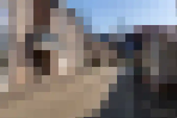 De Bogaert 9 Kaatsheuvel thumbnail 7