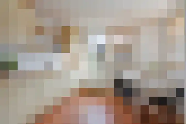 De Bogerd 1 Berlicum thumbnail 11