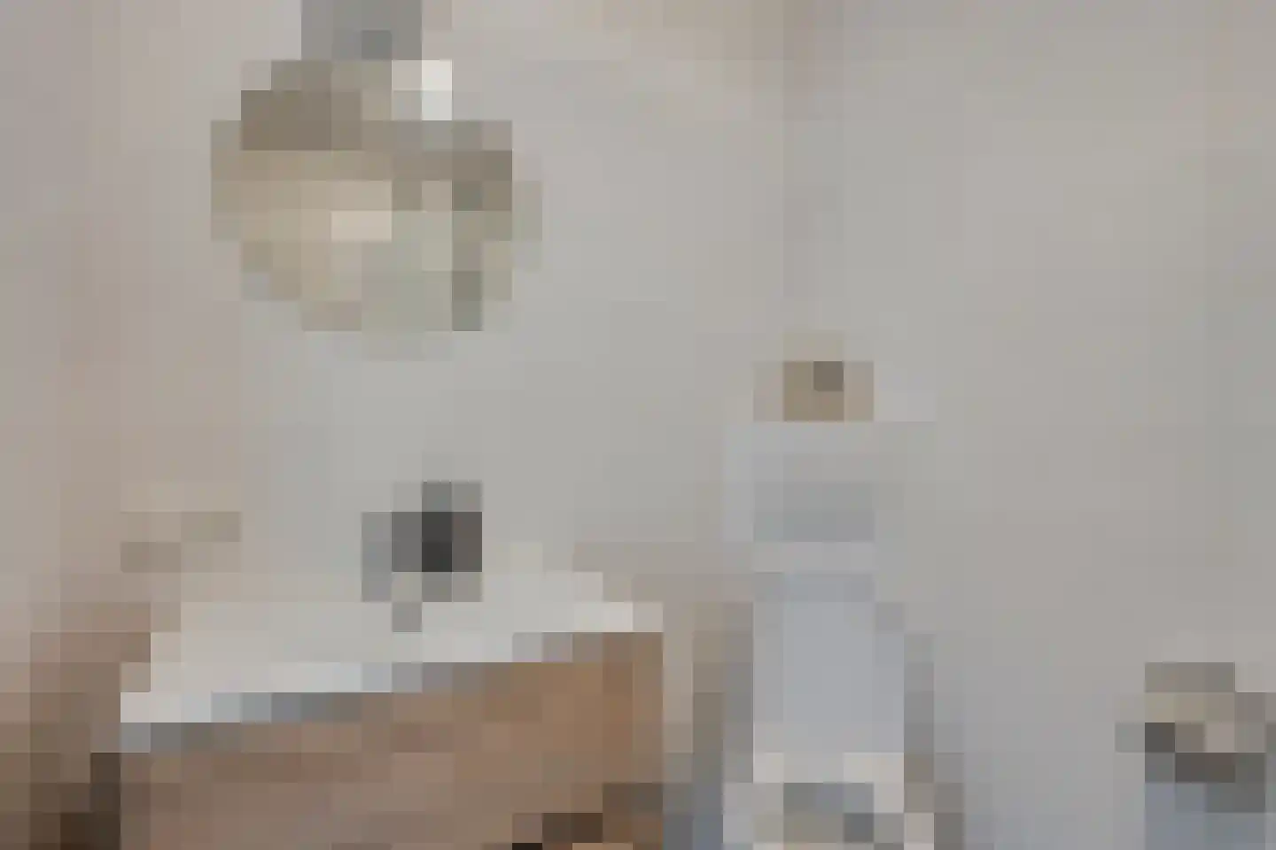 De Bogerd 1 Berlicum thumbnail 17