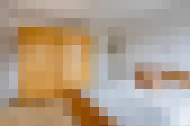 De Bogerd 1 Berlicum thumbnail 20