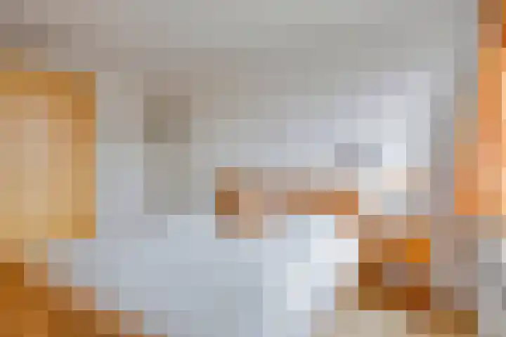 De Bogerd 1 Berlicum thumbnail 21