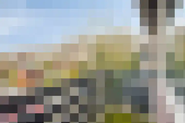 De Bogerd 1 Berlicum thumbnail 26