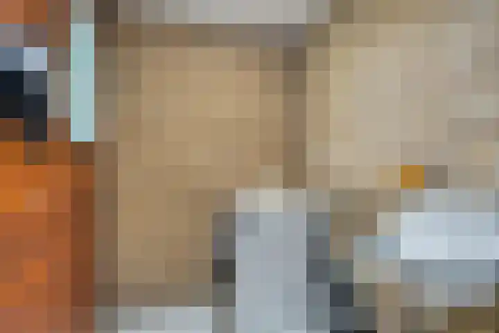 De Bogerd 1 Berlicum thumbnail 34