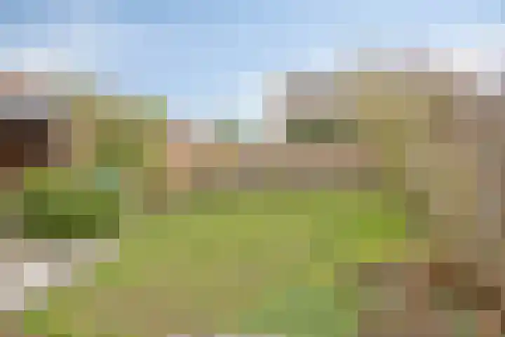 De Bogerd 1 Berlicum thumbnail 39