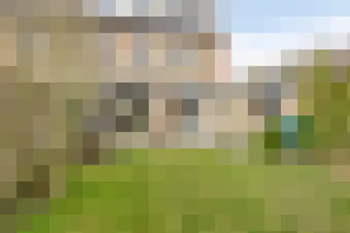 De Bogerd 1 Berlicum thumbnail 43