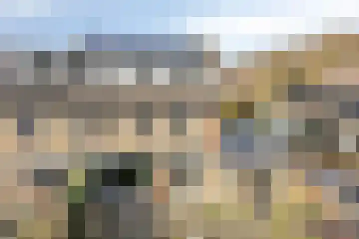 De Bogerd 1 Berlicum thumbnail 44