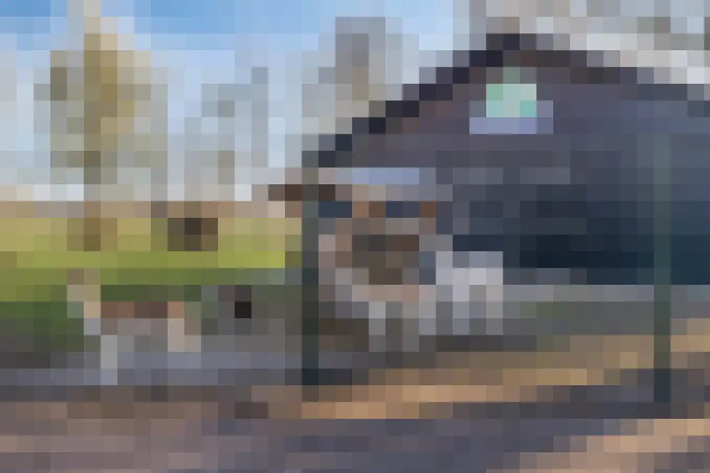 De Bogerd 1 Berlicum thumbnail 50