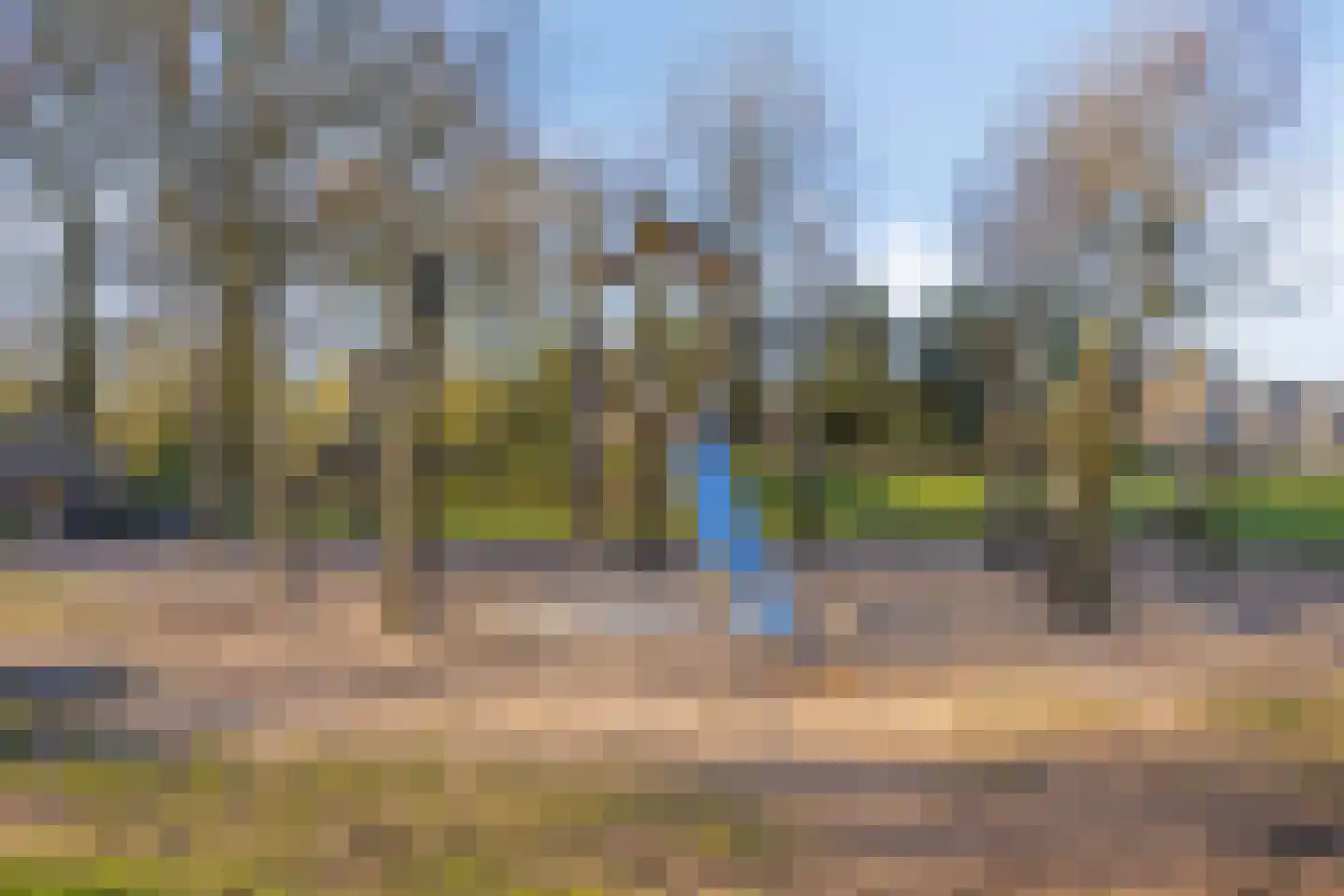 De Bogerd 1 Berlicum thumbnail 52