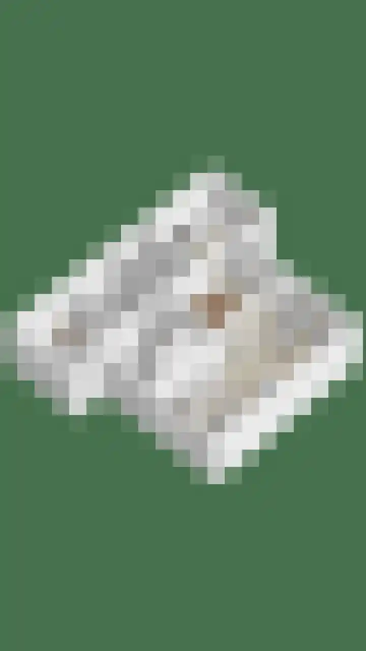 De Bogerd 1 Berlicum thumbnail 55