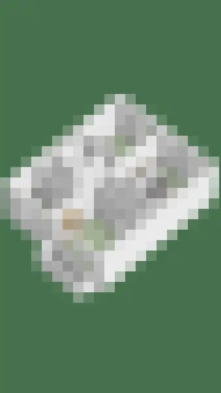 De Bogerd 1 Berlicum thumbnail 56