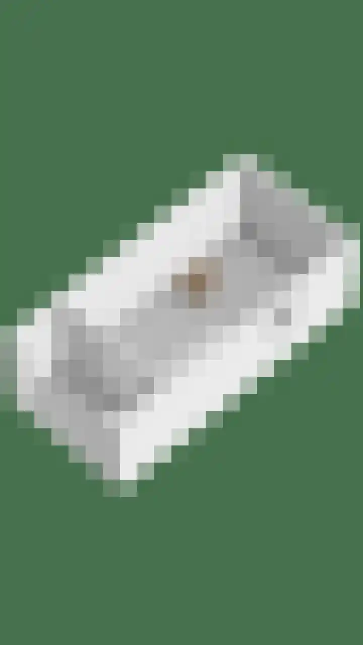 De Bogerd 1 Berlicum thumbnail 58
