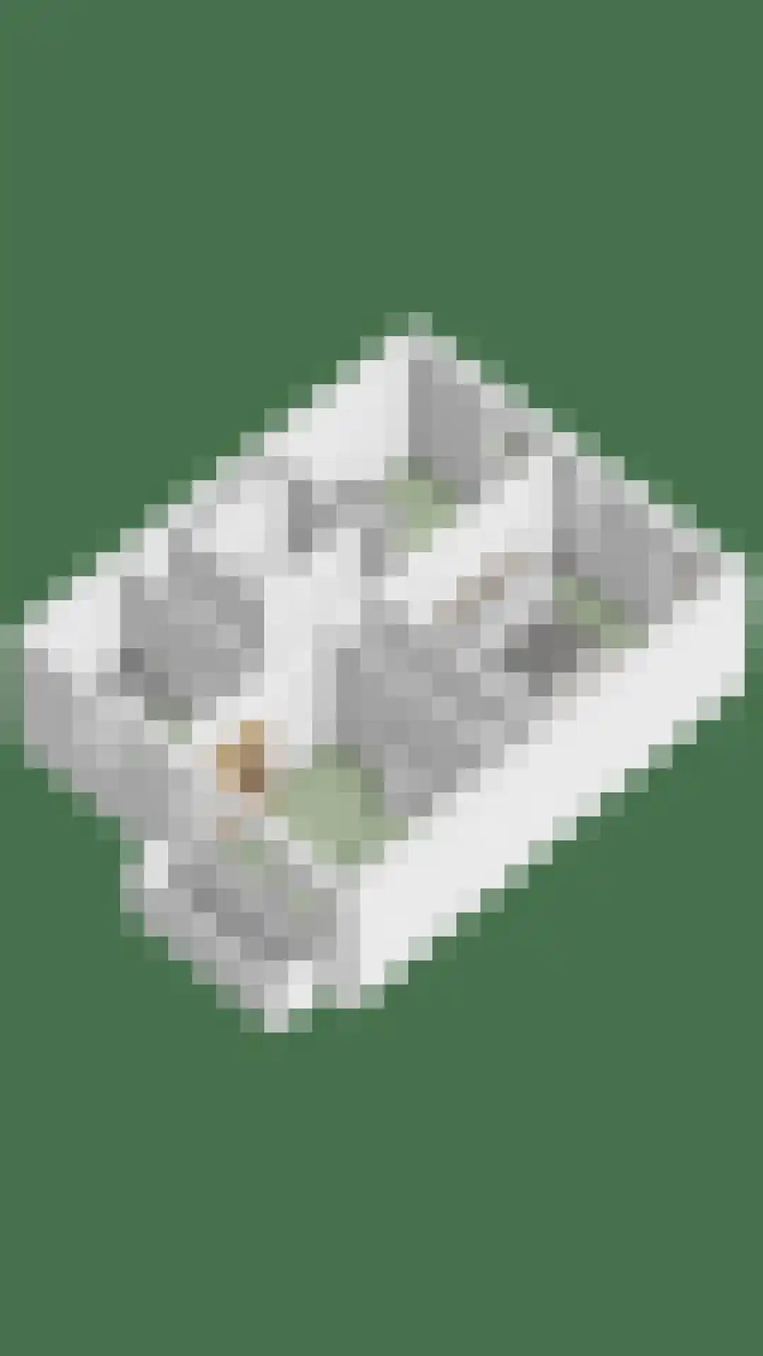 De Bogerd 1 Berlicum thumbnail 59