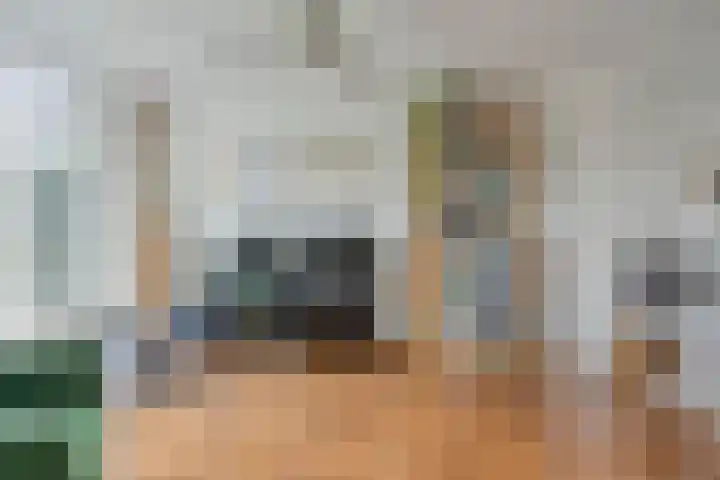 De Bogerd 1 Berlicum thumbnail 6