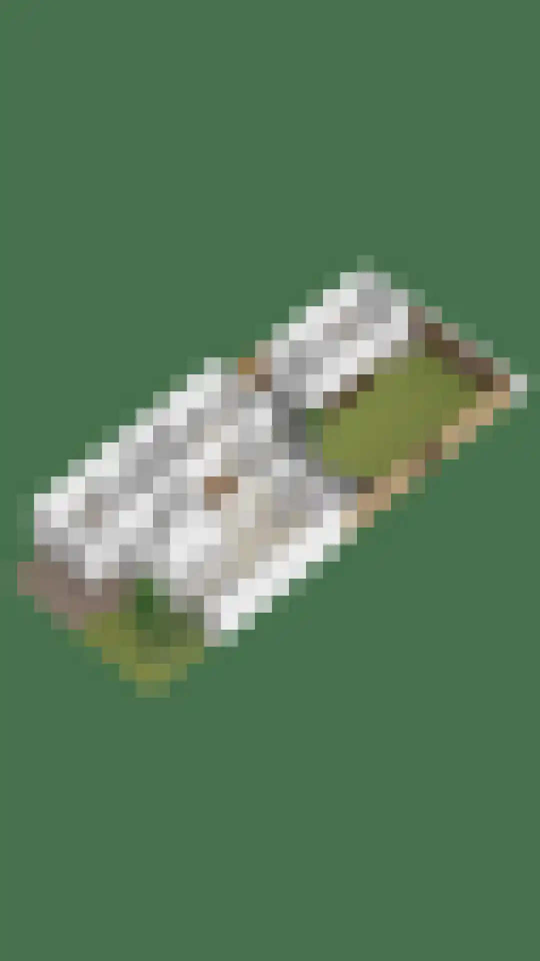 De Bogerd 1 Berlicum thumbnail 62