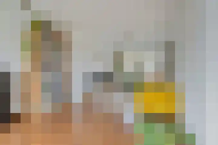 De Bogerd 1 Berlicum thumbnail 7
