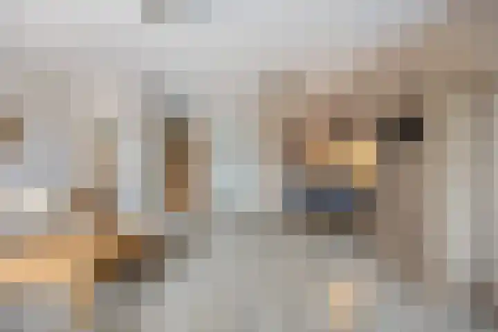 De Bogerd 10 Horssen thumbnail 10