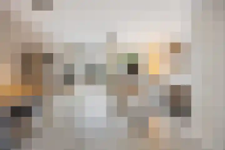 De Bogerd 10 Horssen thumbnail 14