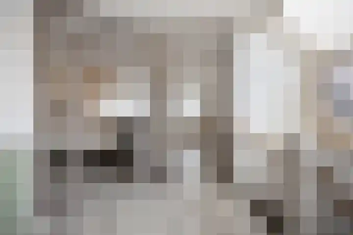 De Bogerd 10 Horssen thumbnail 26