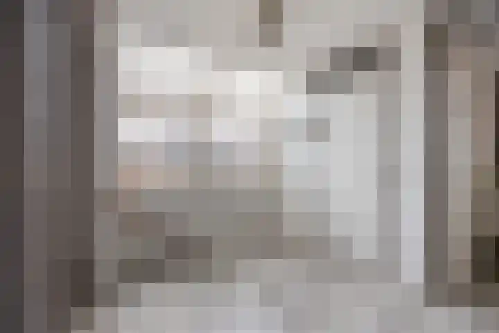 De Bogerd 10 Horssen thumbnail 27