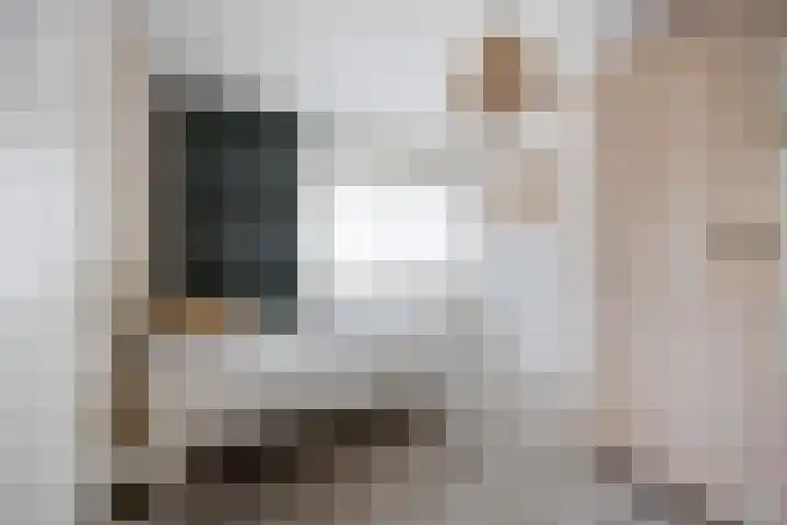 De Bogerd 10 Horssen thumbnail 31
