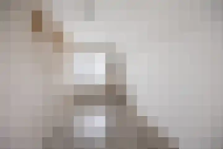 De Bogerd 10 Horssen thumbnail 34