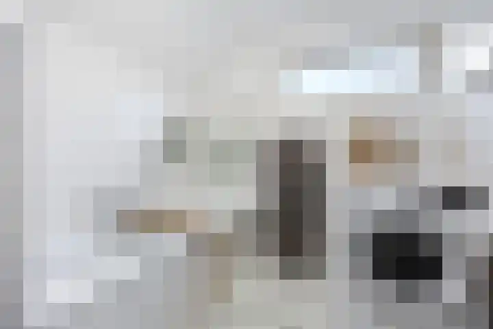 De Bogerd 10 Horssen thumbnail 36