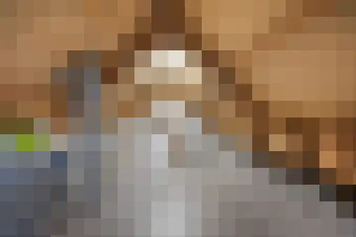 De Bogerd 10 Horssen thumbnail 41