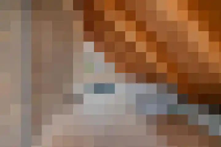 De Bogerd 10 Horssen thumbnail 47