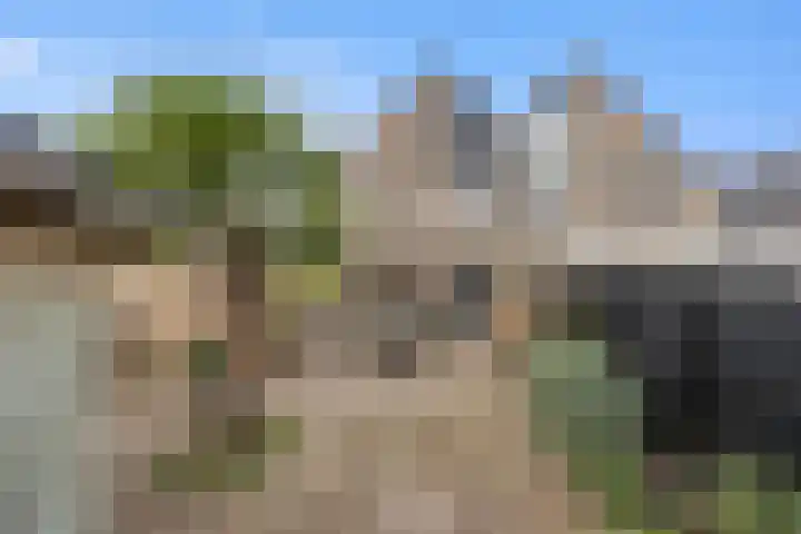 De Bogerd 10 Horssen thumbnail 48