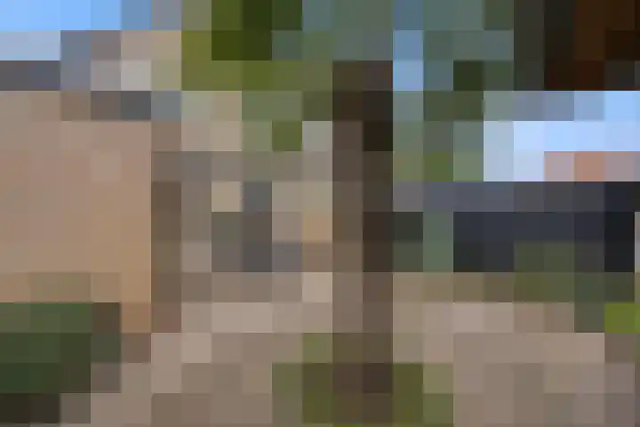 De Bogerd 10 Horssen thumbnail 56